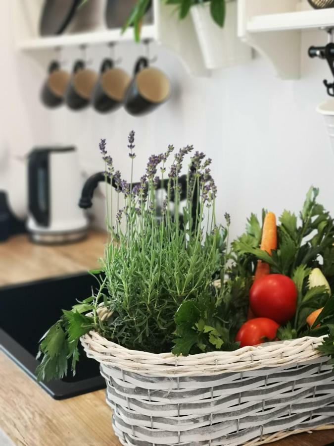 Spa Love Ceglana 1 A Sauna,,Jaccuzi Dla Dwojga Na Wylacznosc Zelená Hora Exteriér fotografie